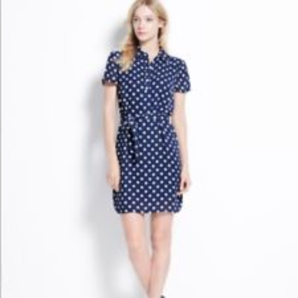 Ann Taylor Navy/White Polka Dot Dress XS